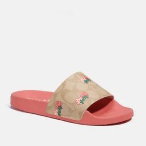 $98 *NEW* COACH Uli Sport Slide with Strawberry Print